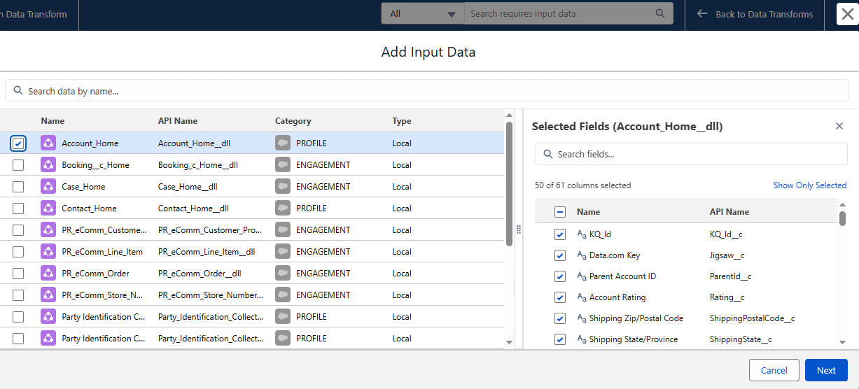 Salesforce Data Cloud