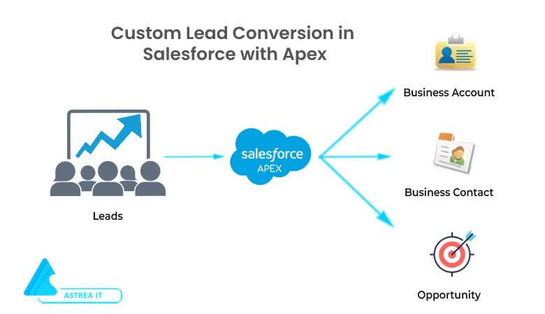 Custom Lead Conversion in Salesforce with Apex