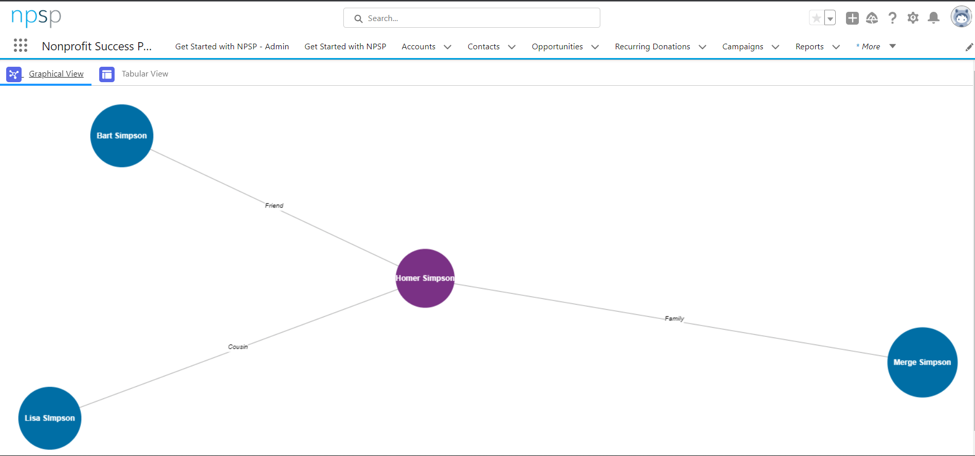  Graphical view of relationships on contacts which we have created above