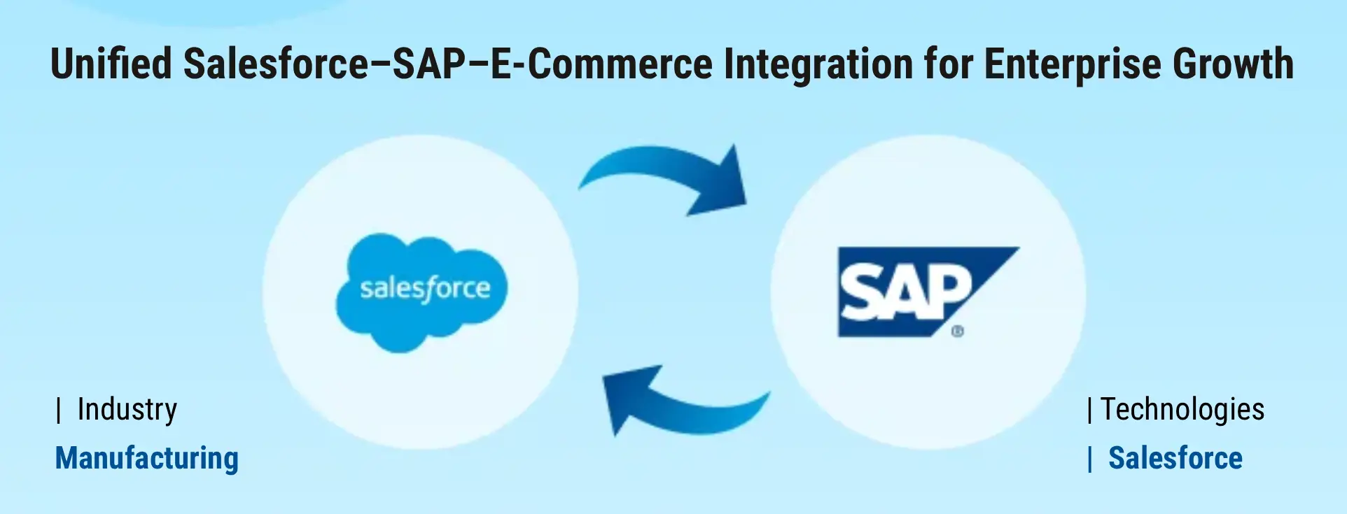 SAP E-Commerce 