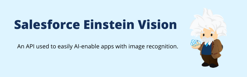 Salesforce Einstein Vision