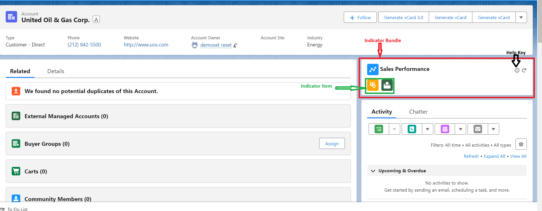 Salesforce indicator on salesforce record page