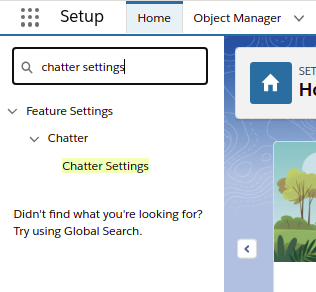 Search Chatter Settings