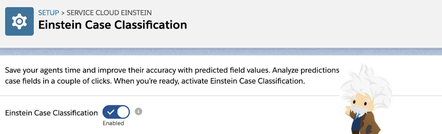 Einstein Case Classification